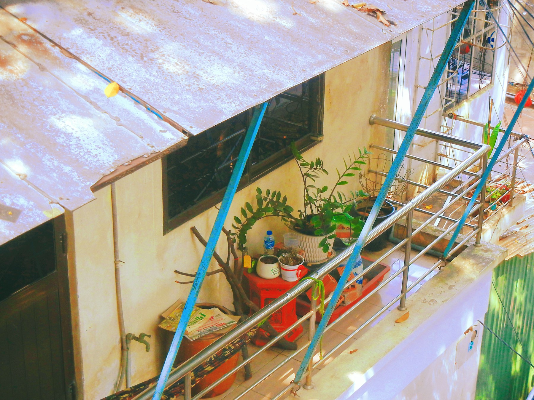 An old apartment balcony filled with practical potted plants